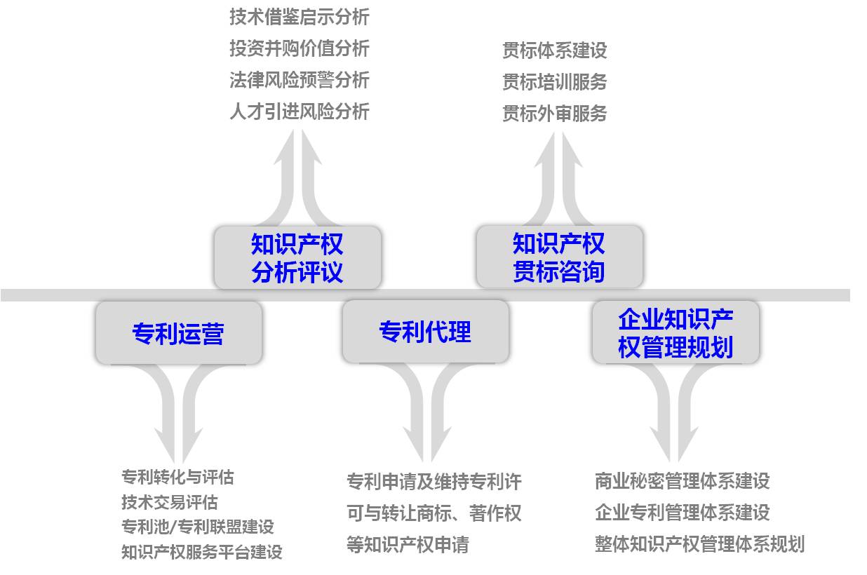 容的介绍 知识与权益的全面守护者